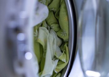 b3633658-a834-11ef-88c3-0242ac110002-jpg-hero_image